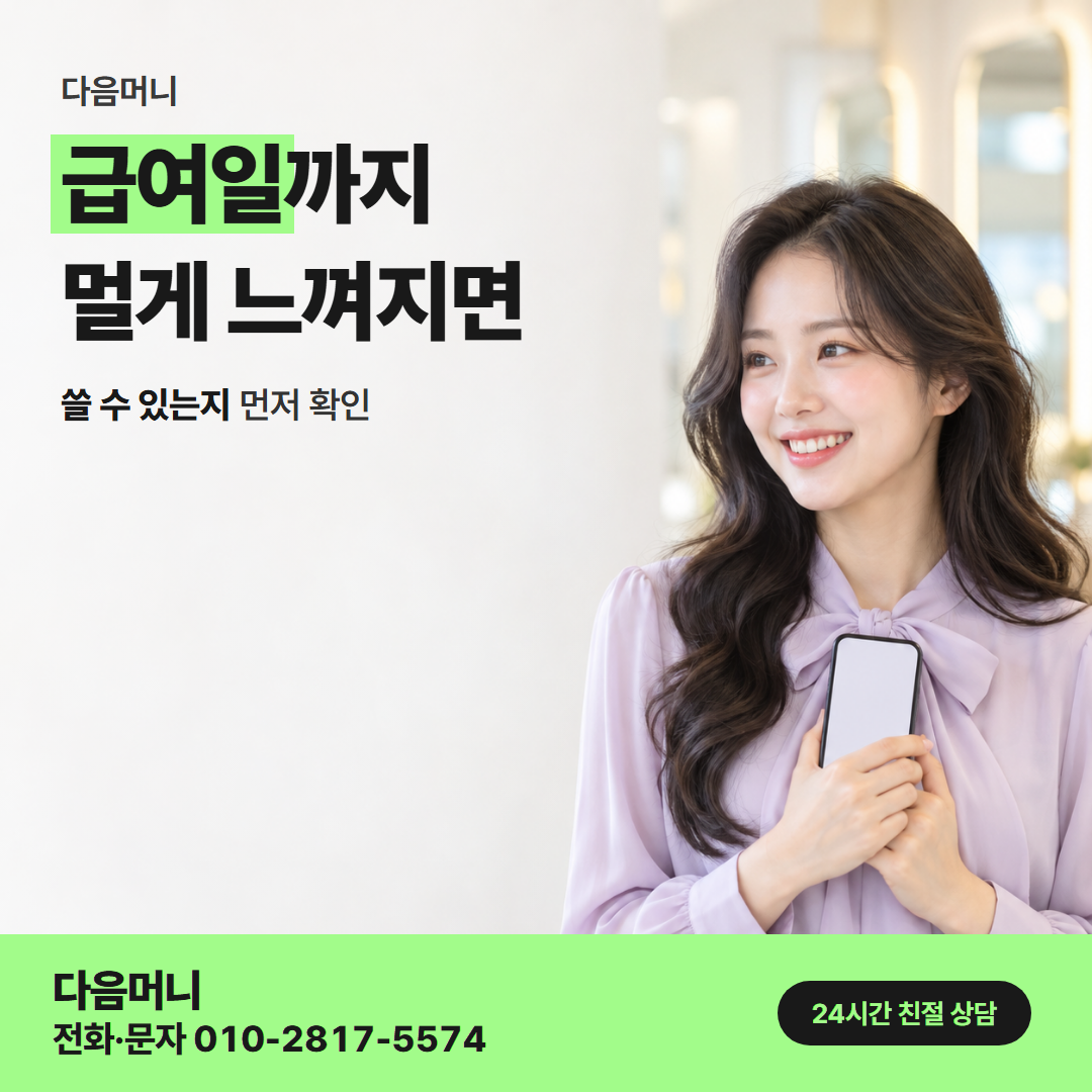 다음머니 카드깡한도 개월 나눔
